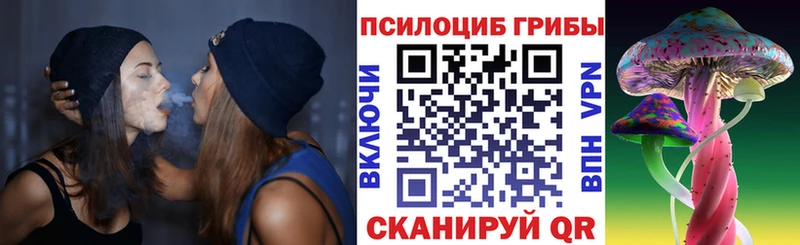 купить   MEGA маркетплейс  Псилоцибиновые грибы мицелий  Куртамыш 