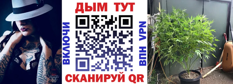 купить наркотики сайты  Куртамыш  Шишки марихуана планчик 